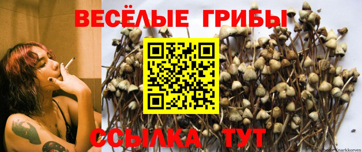 цены   Галлюциногенные грибы мицелий  Вход с VPN  Галлюциногенные грибы Magic Shrooms  Ачинск 
